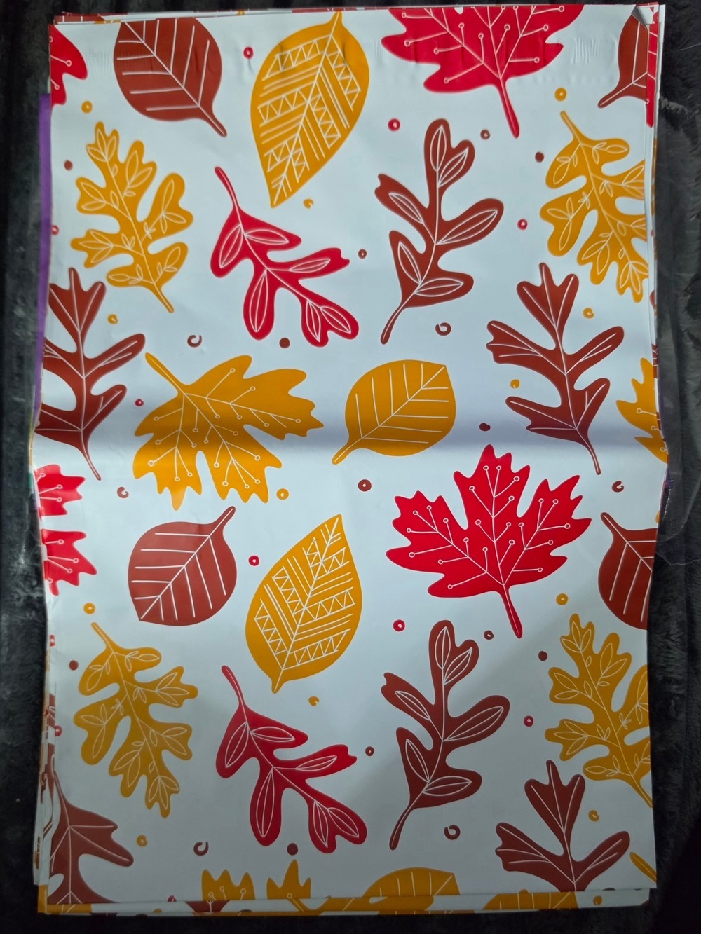 Autumn Vibess...Festive Fall Leaves Poly Mailer - Size 10x13 Quantity Of Ten